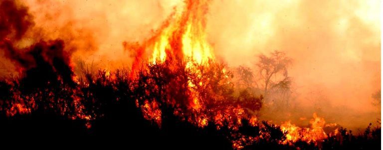 Peligroso aumento de incendios forestales ¿realmente una sorpresa?