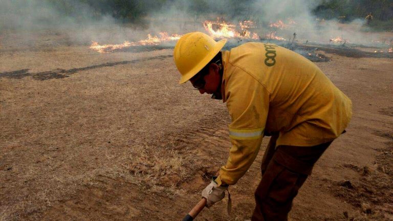 Incendios forestales: Chile pide apoyo internacional para combatir siniestros