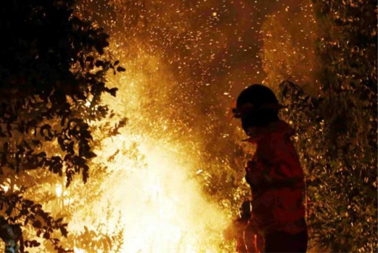 Incendio en bosques de Constitución cobra la vida de 2 carabineros