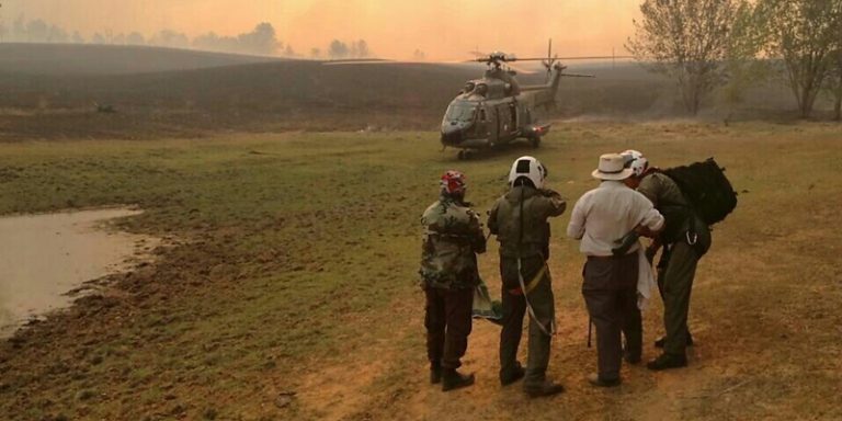 Helicóptero de la Armada rescata a adulto mayor postrado y su perro atrapados por el fuego en Florida