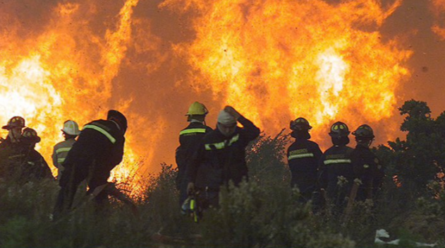 Se sigue quemando el país: Onemi confirma 27 incendios activos que ya llevan más de 63.000 hectáreas
