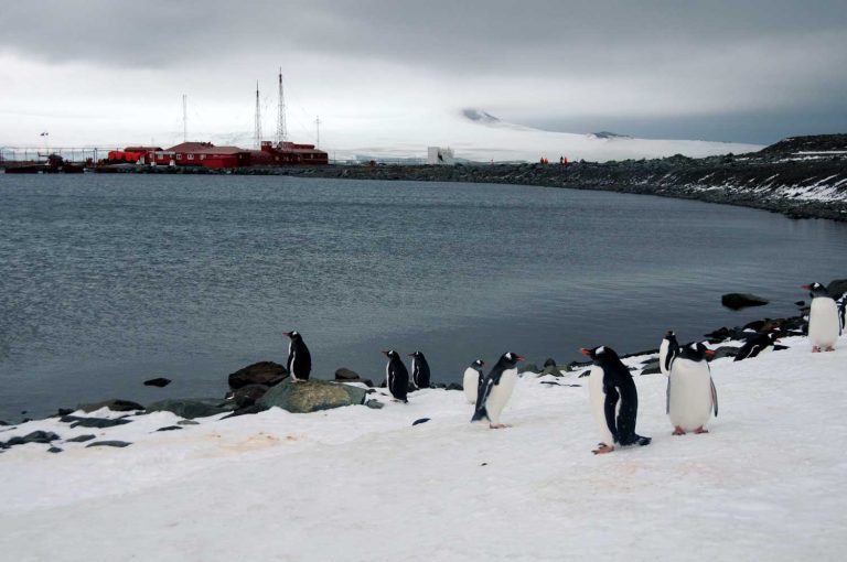 Consejo de Política Antártica analizó potenciar la presencia chilena en el Continente Blanco que mantiene desde hace 71 años