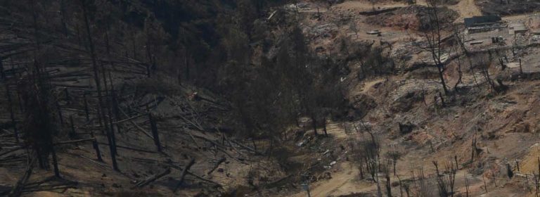 La visión alemana sobre los incendios forestales en Chile: Estrategias para el combate de una tragedia