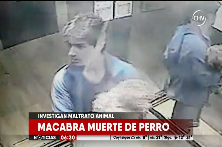Maltrato animal: Hombre mata un perro y lo lanza desde el piso 25 piso en edificio de Santiago centro