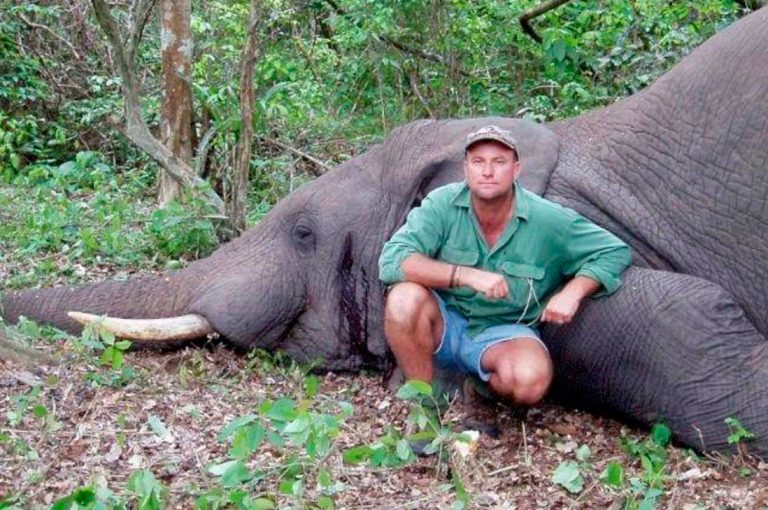 Cazador muere durante cacería a manos de un elefante en Africa