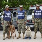 mexico-earthquake-hero-rescue-dog-frida-7-59c3b36967001__700