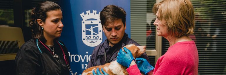 Municipalidad de Providencia rescata 12 perros abandonados en departamento
