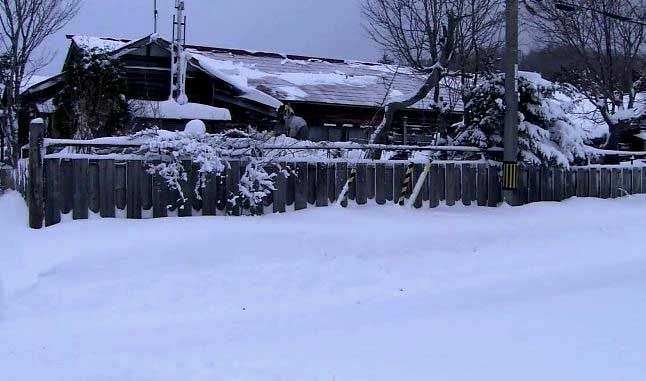 Cambio Climático: Fuerte tormenta de nieve golpea Japón y causa cancelación transportes