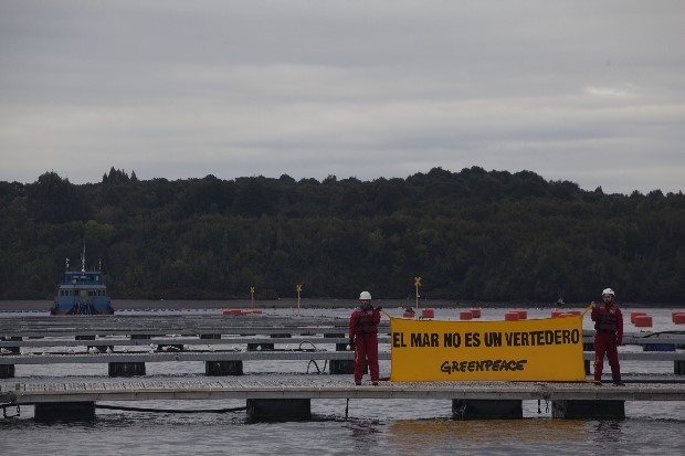 Greenpeace ante avance de la Marea Roja en la Patagonia advierte: “Estamos a las puertas de una crisis social y ambiental incluso mayor a la de Chiloé en 2016”
