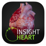 insight heart