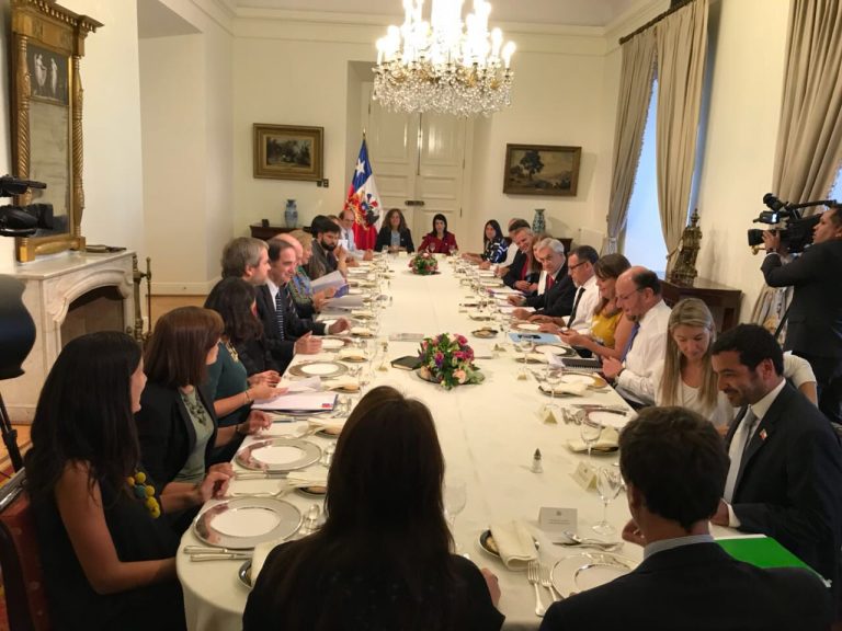 Presidente Piñera fija plazo de sesenta días para avanzar en propuestas que busquen reformar el Sename