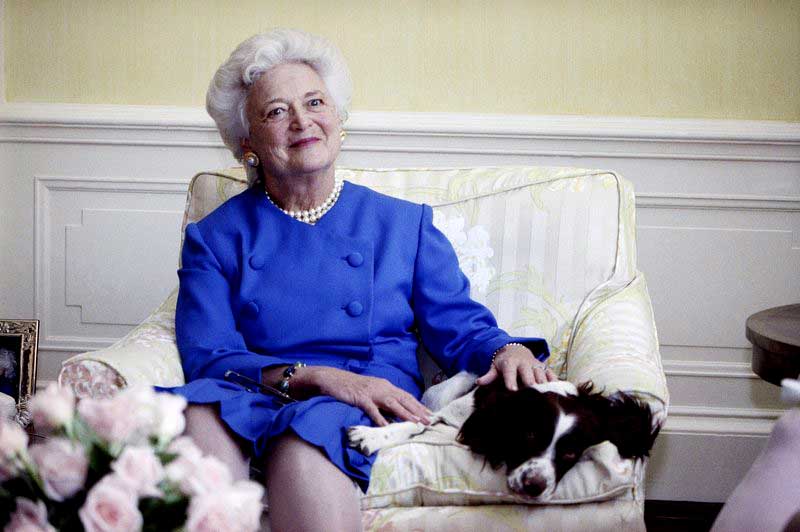 barbarabush