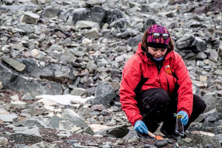 Inach informa que mujeres lideran el 43 % de los proyectos científicos antárticos