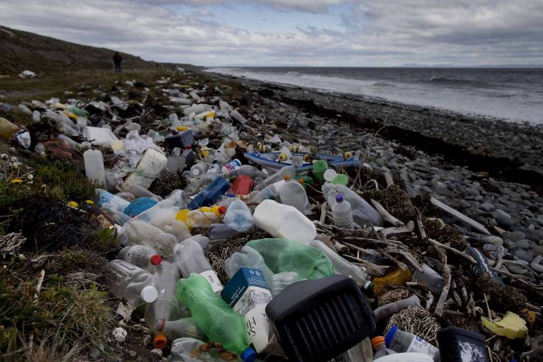 El plástico está matando al planeta: Microplástico una de la palabras del 2018