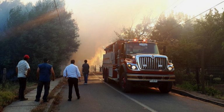 Incendios forestales NO dan tregua: Los más complejos se registran en las comunas de Nacimiento, Coelemu y Chillán