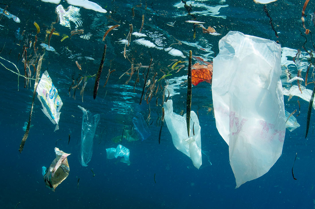 WWF hace llamado global para un acuerdo vinculante que frene la ...