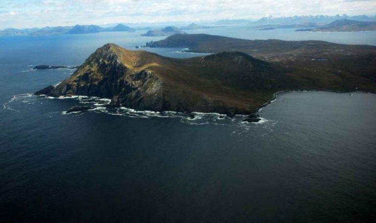 ONG’s alertan por expansión salmonera en la Patagonia y por visita de reyes de Noruega