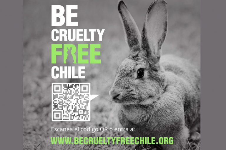 Eliana Albasetti, Neptune Keller y 80.000 chilenos exigen a la comisión de salud sumarse a #BeCrueltyFree