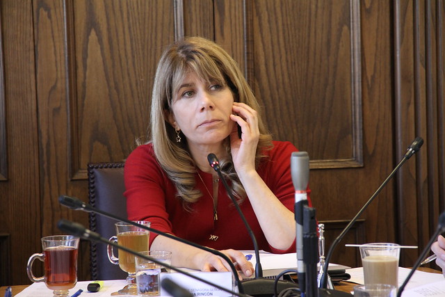 Senadora Rincón condiciona su voto a favor de la Reforma Tributaria a que ministro Larraín acceda a sus peticiones