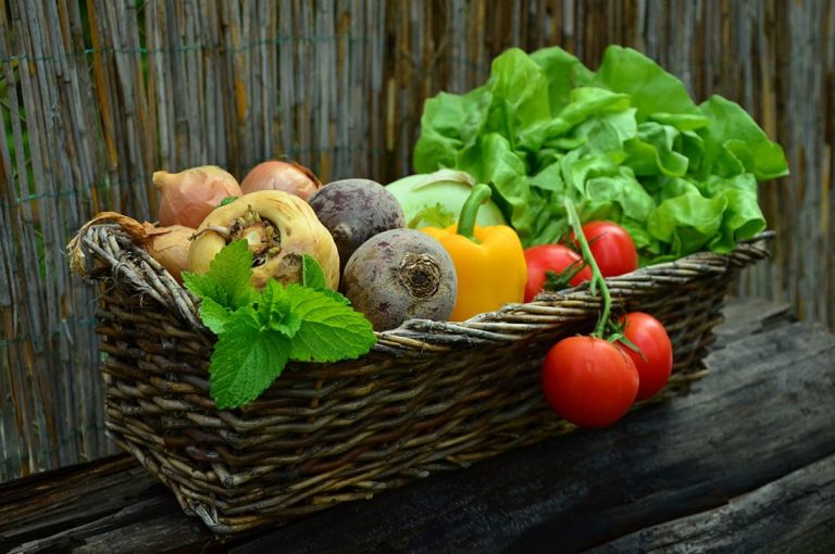 Solo el 15% de los chilenos come la cantidad recomendada de frutas y verduras