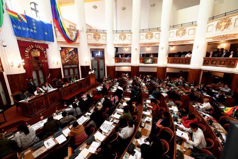 Cámara de Diputados de Bolivia aprueba la ley para nueva elección
