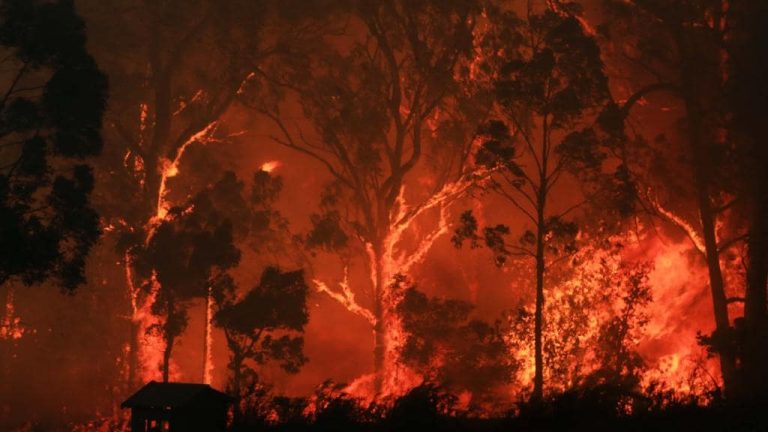 Australia cancela celebraciones de Año Nuevo por incendios excepto en Sydney