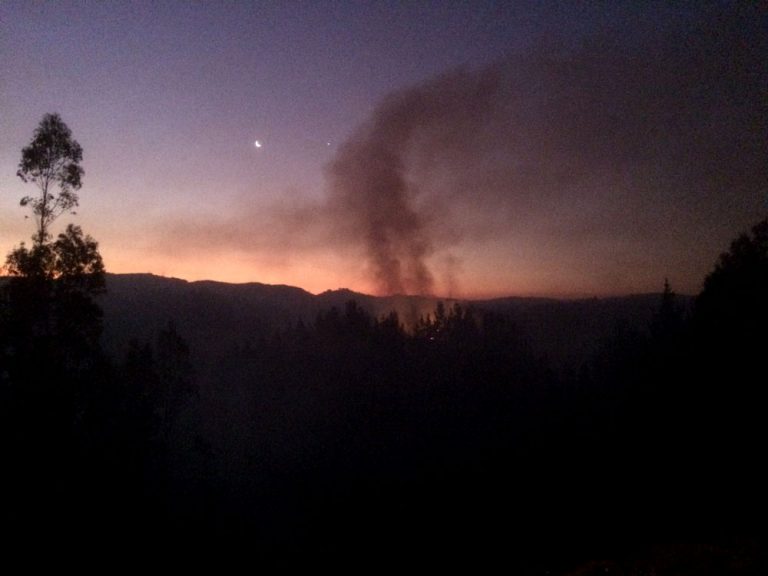 ONEMI: Alerta roja para Concepción por incendios forestales