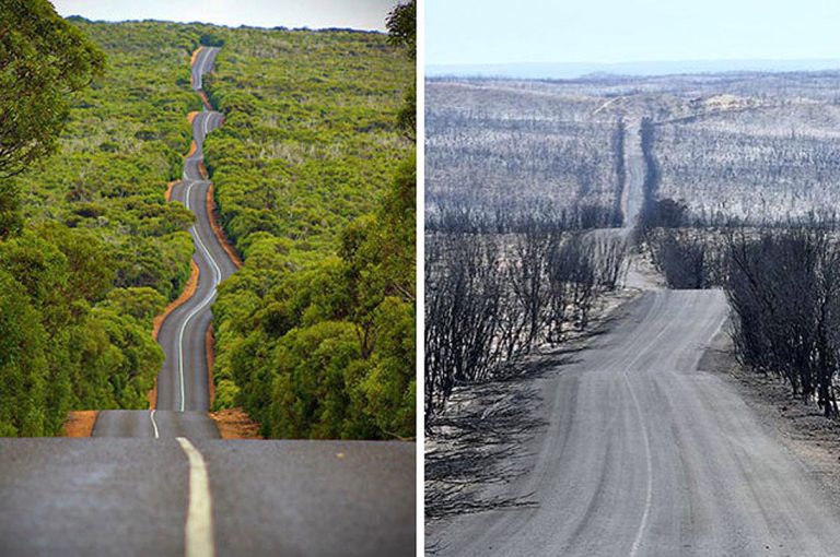 Australia antes y ahora con los daños provocados por los incendios forestales