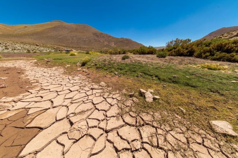 Greenpeace lanza su “hit” “Te robé un río” para denunciar la crisis hídrica