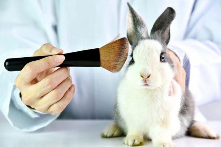 Campaña busca acabar con el testeo animal en cosmética