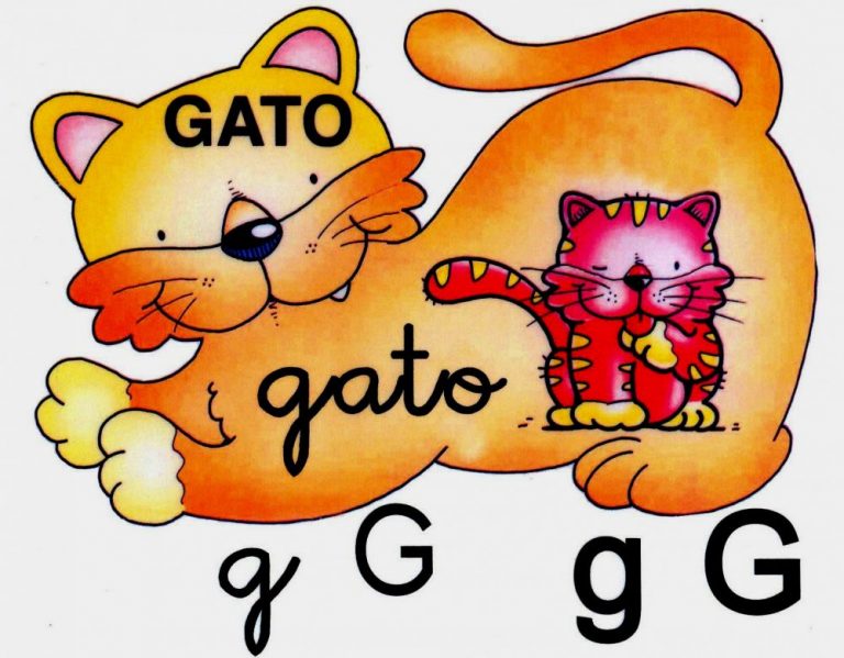 Las diarias operetas del ministro Mañalich: “Es la G… la g de Gato…”