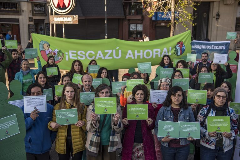 Greenpeace molesta con decisión del Gobierno de no firmar el Acuerdo de Escazú