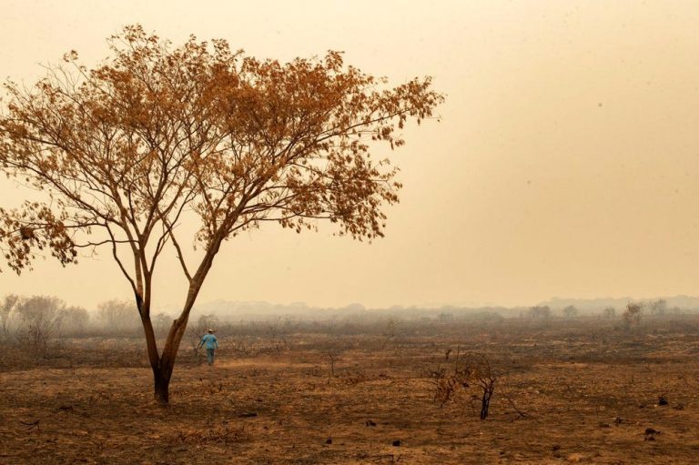 Gigantesco incendio arrasa 1,5 millones de hectáreas del Pantanal en Brasil