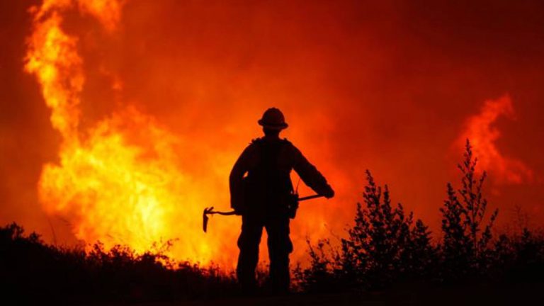 Peñaflor toma la iniciativa lanzando campaña contra incendios forestales