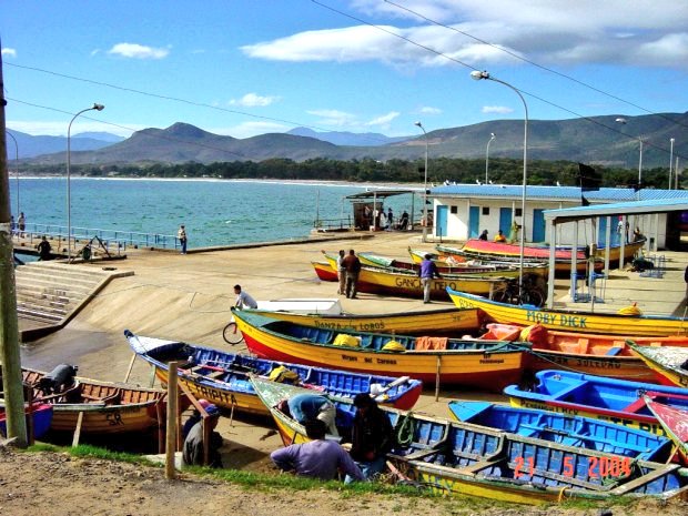 Sernapesca da el vamos al Portal de la Pesca Artesanal en Chile: “Caleta en Linea”