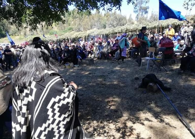 Comunidades de Temucuicui anunciaron creación de “Policía Comunitaria Mapuche” ante agresión y amenaza de “la policía estatal chilena”