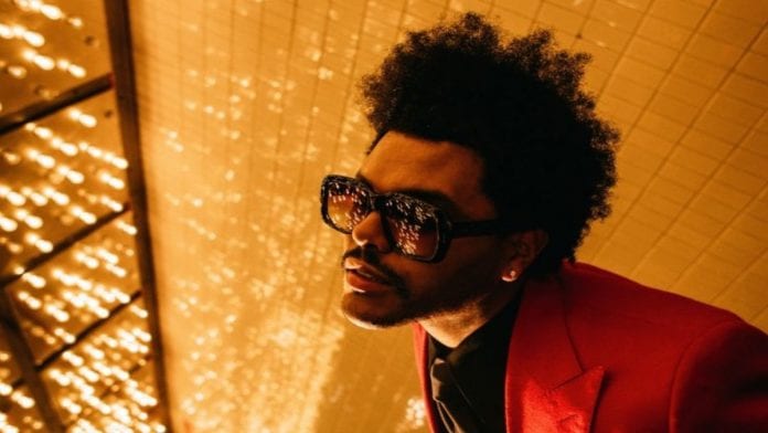 archivo infogate web-7