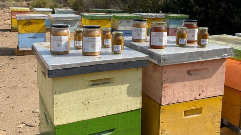 Emprendedor de Tiltil que cambió la construcción por la apicultura