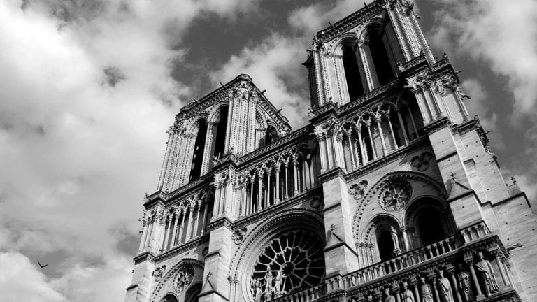 Francia tala robles de más de 200 años para reconstruir Notre Dame