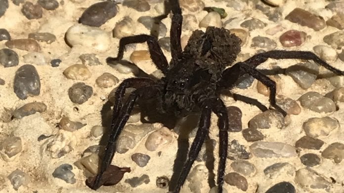 archivo infogate web-4