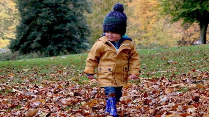 archivo infogate web-80