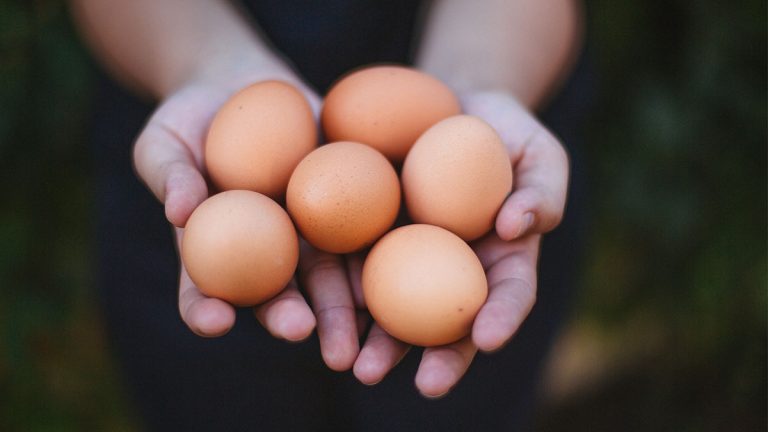 ¿Que buscan actualmente los consumidores de huevos?