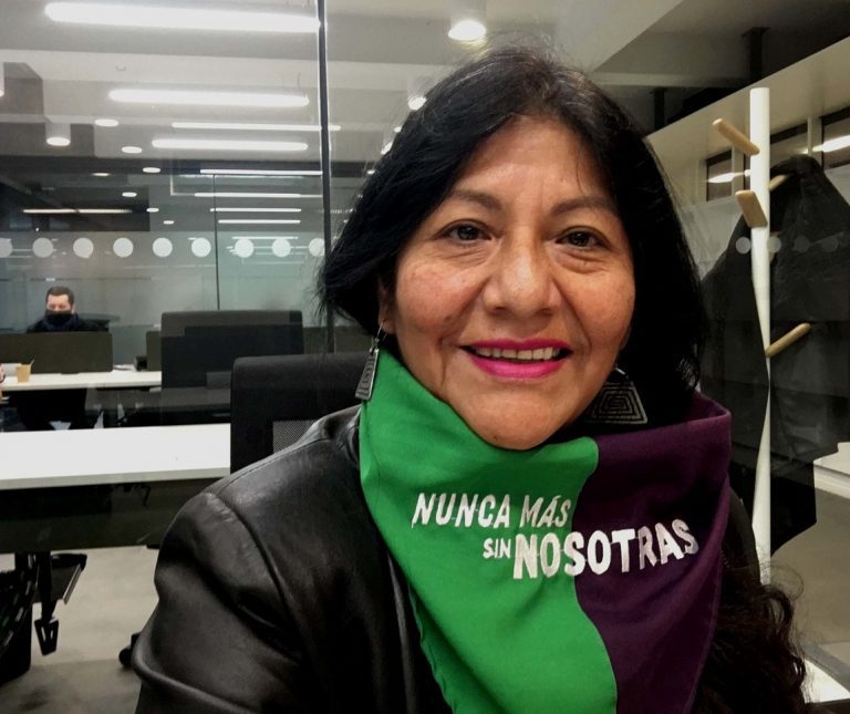 Convencional Alejandra Flores es partidaria de plebiscitos dirimentes para que, en temas controversiales, decida la ciudadanía