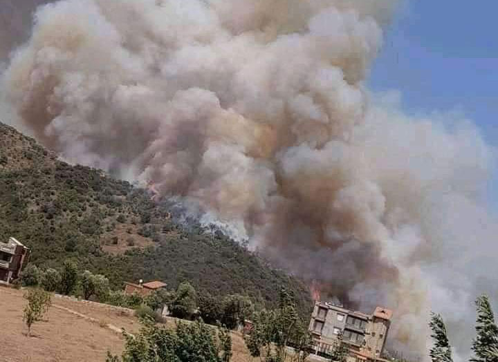Cambio Climático: Más de 30 incendios forestales en Argelia ya dejan 4 muertos