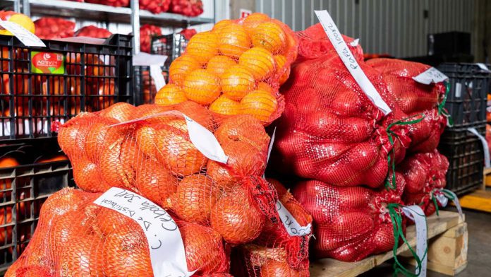 emprendimiento260801