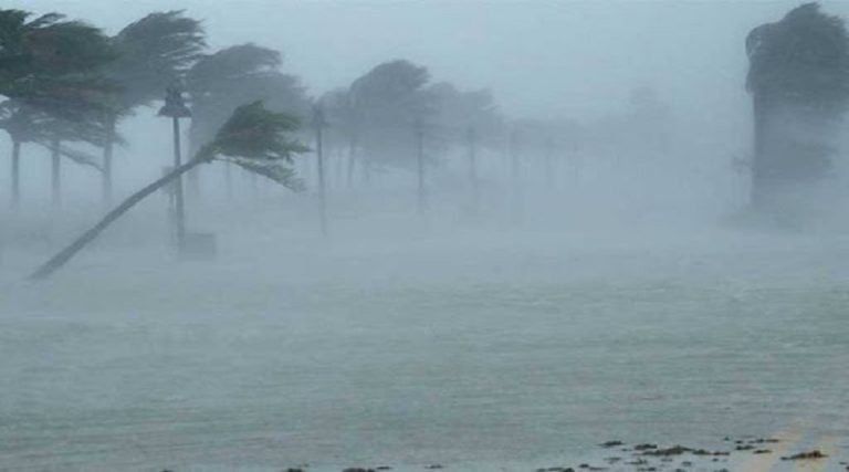 EEUU: Huracán Ida impacta Luisiana; deja sin luz a Nueva Orleans