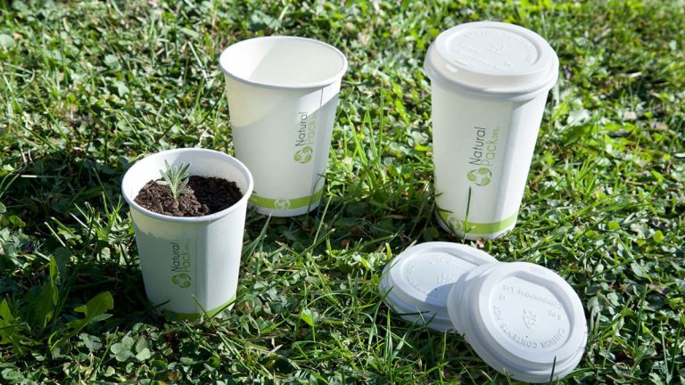 ¡Salud por el planeta! empresa sorprende con novedosa línea de vasos 100% “compostables”