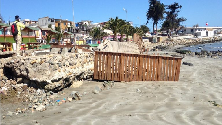 Estudio reafirma que en Chile existen bahías más sensibles a daños por los efectos de un tsunami