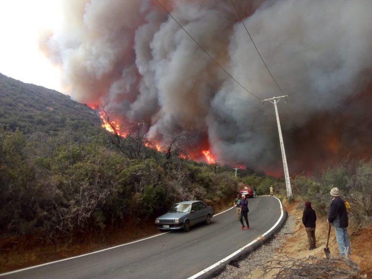 Cinco brigadas, bomberos y dos aeronaves combaten incendio forestal en Caleu