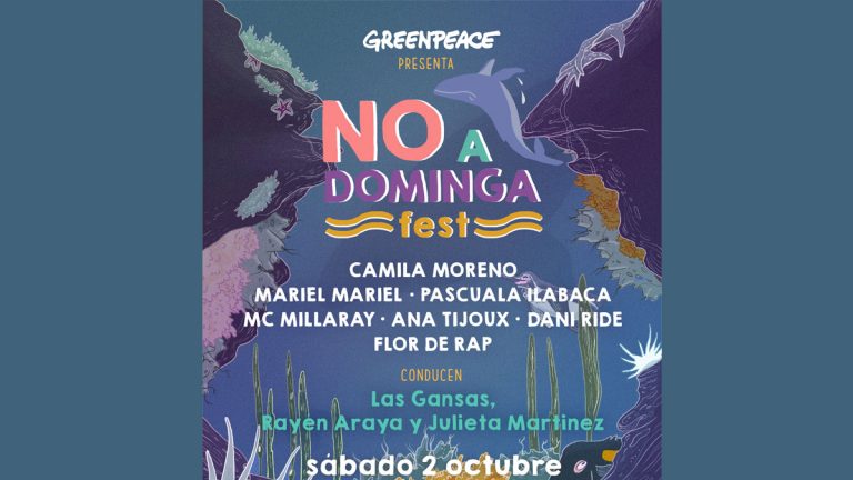 Artistas, ambientalistas y líderes de opinión se unen en festival para  decir “No a Dominga”
